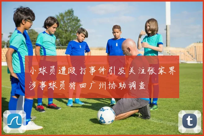 小球员遭殴打事件引发关注张家界涉事球员将回广州协助调查