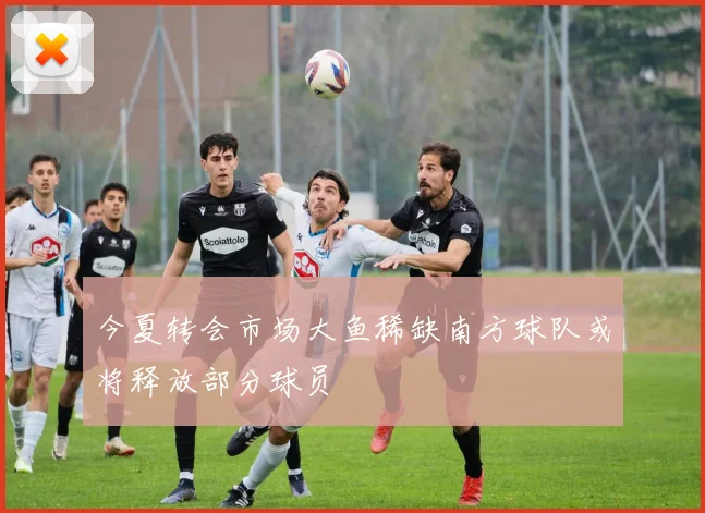 今夏转会市场大鱼稀缺南方球队或将释放部分球员
