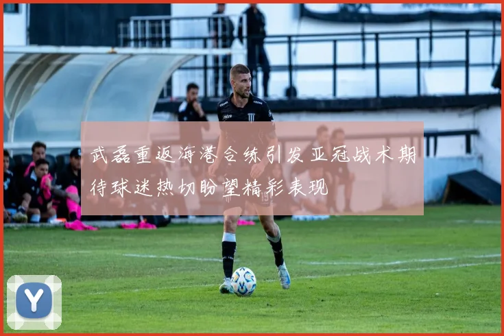 武磊重返海港合练引发亚冠战术期待球迷热切盼望精彩表现