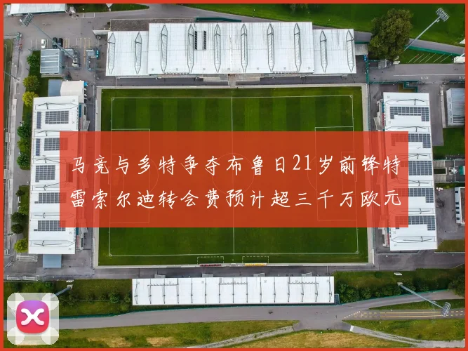 马竞与多特争夺布鲁日21岁前锋特雷索尔迪转会费预计超三千万欧元
