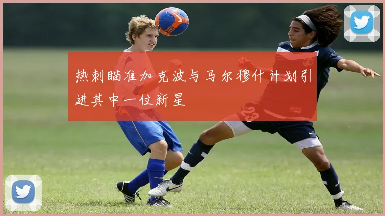 热刺瞄准加克波与马尔穆什计划引进其中一位新星